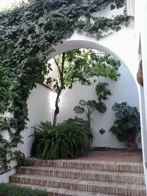Jardín al aire libre en Entre2mezquitas 6
