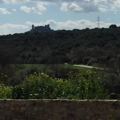 Paisaje cerca of this country house