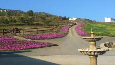 Jardín al aire libre en Biznaga