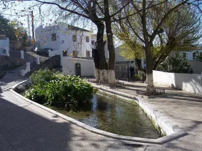 Edificio en el que se encuentra la casa o chalet
