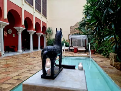Piscina en o cerca de Hospederia Baños Arabes De Cordoba