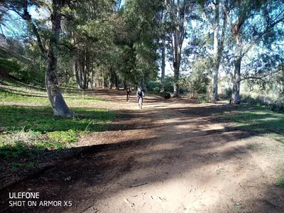 Paisaje cerca de esta habitación en casa particular