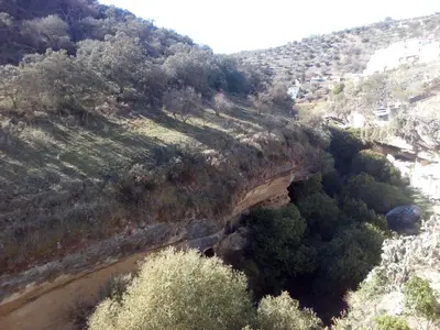 Paisaje cerca of this country house