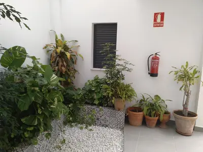 Jardín al aire libre en Casa Aguilas