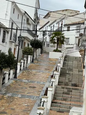 El barrio de los alrededores o un barrio cerca de este apartamento