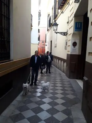 Clientes alojados en NOOL Sevilla