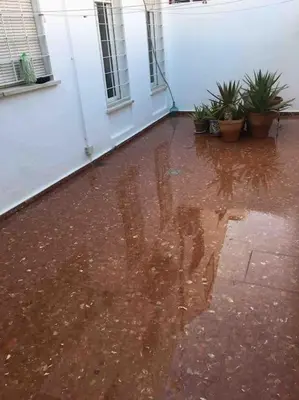 Plano de Casa Soleada Calle Tranquila Junto a FIBES