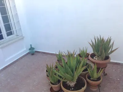 Plano de Casa Soleada Calle Tranquila Junto a FIBES