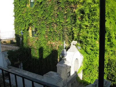 Jardín al aire libre en Pensión Bienvenido