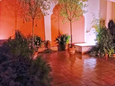 Jardín al aire libre en Ziza