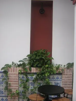 Plano de Apartamentos Turisticos Casa Cantillo