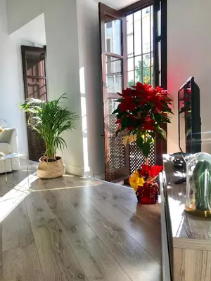 Plano de Apartamento San Fernando 27