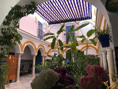 Jardín al aire libre en La Casa en el Centro
