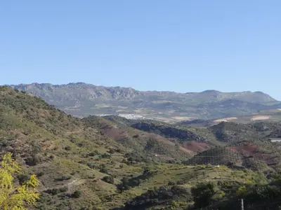 Paisaje cerca de este bed & breakfast