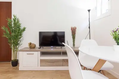 Una televisión o centro de entretenimiento en Precioso apartamento casco antiguo de Sevilla Castellar 23 bajo