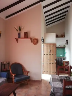Zona de estar de La solana de turon. El pino