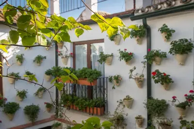 Jardín al aire libre en La Sultana Apartamentos