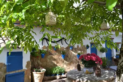 Jardín al aire libre en El Rincon de Carmen