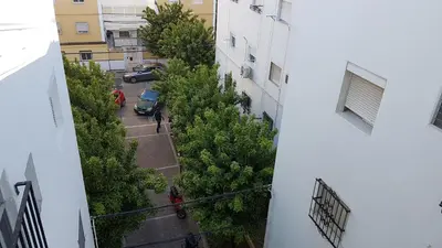 El barrio de los alrededores o un barrio cerca de este apartamento