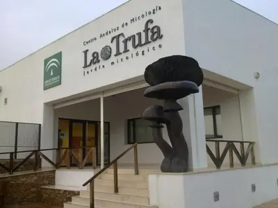 Plano de vivienda turistica Fuente Zagrilla II