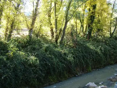 Paisaje cerca de este hotel