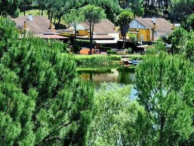 Paisaje cerca de esta casa o chalet