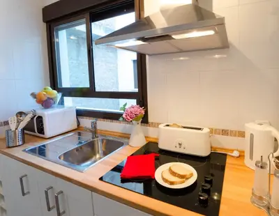 Una cocina o zona de cocina en Apartamentos Turísticos Duque de Hornachuelos