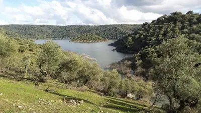 Paisaje cerca of this country house