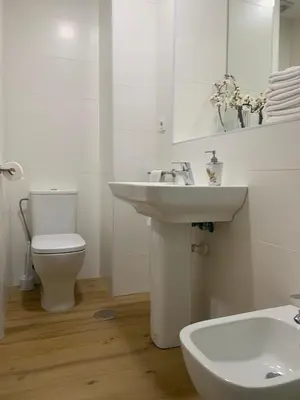 Un baño de APARTAMENTOS EN ALAMEDA DE HERCULES SEVILLa