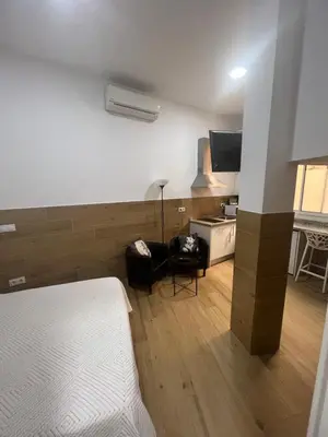 Cama o camas de una habitación en APARTAMENTOS EN ALAMEDA DE HERCULES SEVILLa