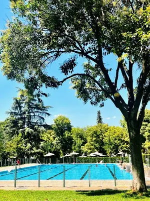 Piscina en o cerca de La Nueva Andalusí