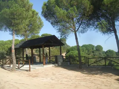 Paisaje cerca de este apartamento