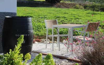 Jardín al aire libre en Finca El Limonar