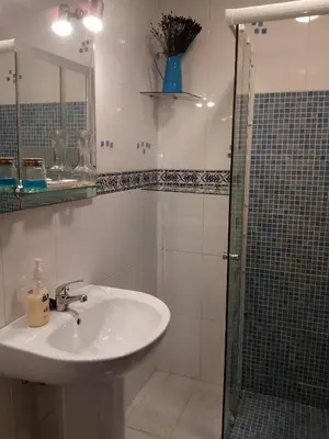 Un baño de Barrio Nuevo