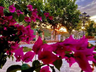 Jardín al aire libre en Complejo turístico y alojamientos Fuente de la Salud