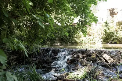 Paisaje cerca de este apartamento