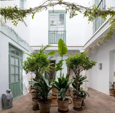 Jardín al aire libre en Hommyhome Castellar Luxury