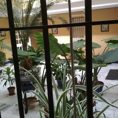 Two Bedrooms Leonor Davalos 2