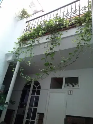 Un balcón o terraza de Pensión Santa María la Blanca