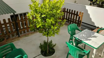 Un balcón o terraza de Casa Rural Los Baños