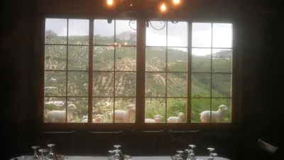 Paisaje cerca of this country house