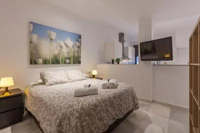 Cama o camas de una habitación en Acogedor apartamento centro Sevilla San Marcos