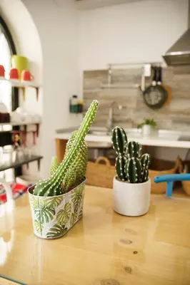 Una cocina o zona de cocina en Casa singular y con encanto