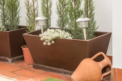 Jardín al aire libre en Ático Azahar