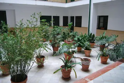 Jardín al aire libre en El Rincón de Aurora