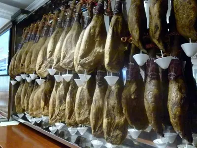 Animales en el hotel o alrededores