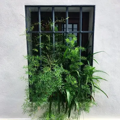 Jardín al aire libre en Casa-Patio Axerquía