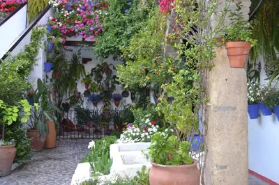 Jardín al aire libre en Nuevo Sueño del Alcazar