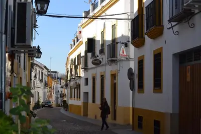 El barrio de los alrededores o un barrio cerca de este apartamento
