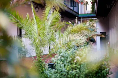 Jardín al aire libre en Alohamundi Lumbreras I